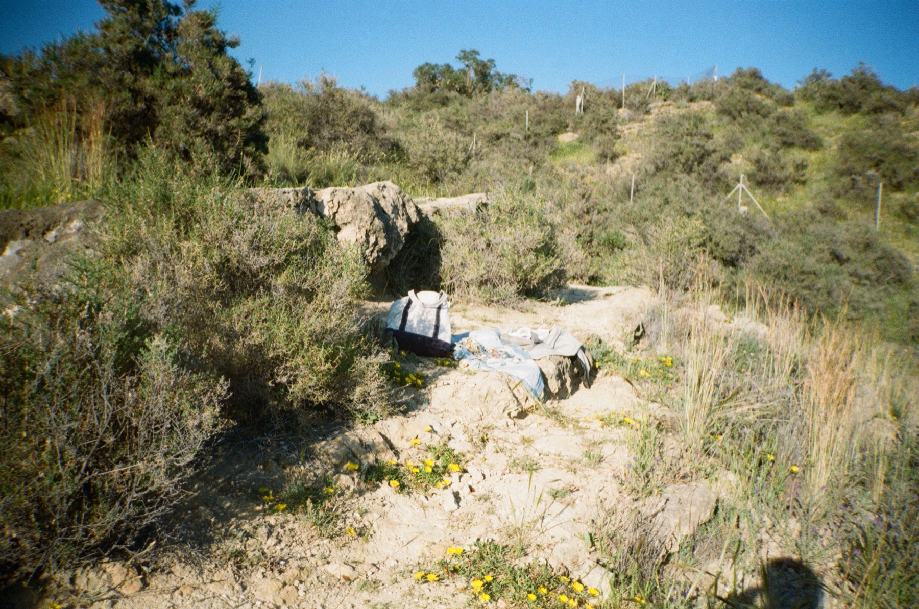 Film photograph 26